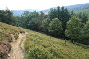 Goyt Valley
