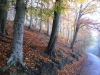 Etherow Country Park