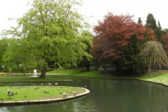 Buxton