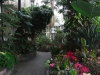 The Pavilion Gardens