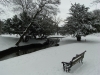 The Pavilion Gardens