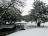 The Pavilion Gardens