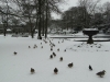 The Pavilion Gardens