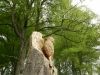 Woodpecker Carving