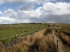 Looking towards Coombes Edge from Cown Edge Way