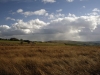 Ludworth Moor looking towards Kinder Scout