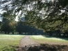 Dunham Massey Parkland