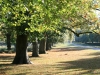 Dunham Massey Parkland