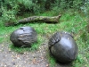Wood Sculptures