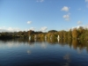 Yachts on the lake
