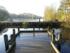 The Lake