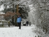 A walk in the snow