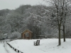 Snowy Scene