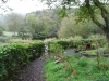 The Nature Garden