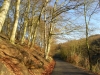 Winter Sun