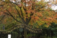 Fletcher Moss Park
