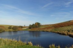 Goyt Valley