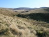 Goyt Valley