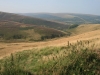 Heather Moorland