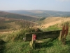 Heather Moorland