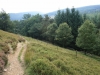 Goyt Valley