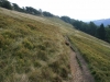 Goyt Valley