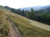 Goyt Valley