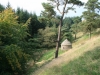 Shrine