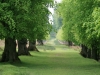 The fallow deer sanctuary