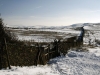 Bowstones