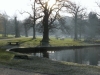 The Lake