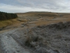 A frosty day