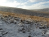 Near Bowstones