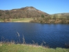Tegg's Nose Country Park