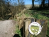 Tegg's Nose Country Park