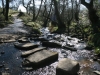 Tegg's Nose Country Park