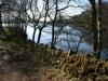 Tegg's Nose Country Park