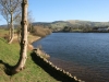 Tegg's Nose Country Park