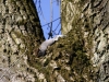 Sunbathing Squirrel