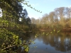 The Pond