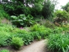 The Garden