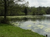 The Roman Lakes