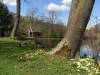 Springtime