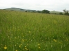Lyme Park