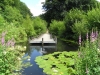Etherow