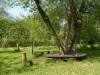 Reddish Vale Country Park