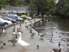 Cafe and Lake at Etherow Country Park