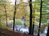 Autumn at Etherow