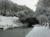 Peak Forest Canal, Romiley