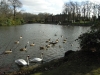 Dunham Massey, Cheshire